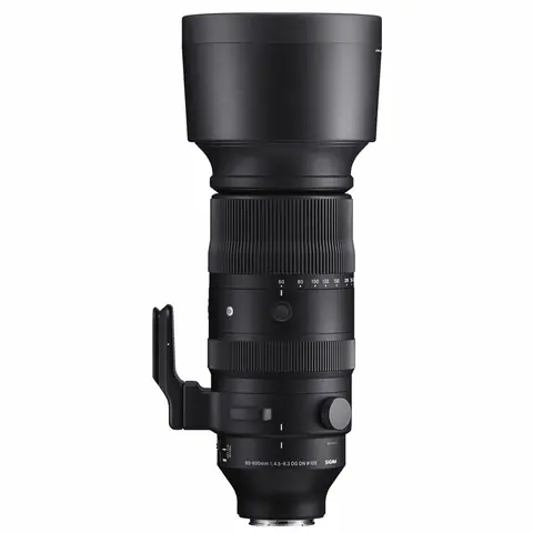 Объектив Sigma 60-600mm F4.5-6.3 DG DN OS Sports Sony E
